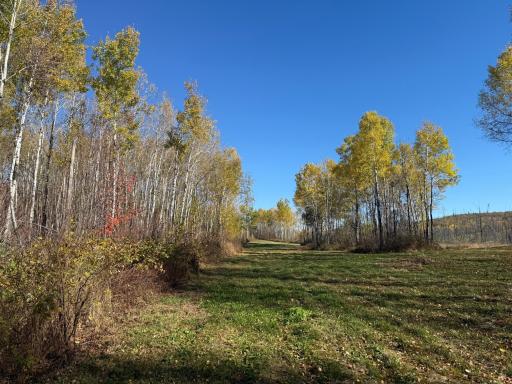 TBD French Rd., Chisholm, MN 55719