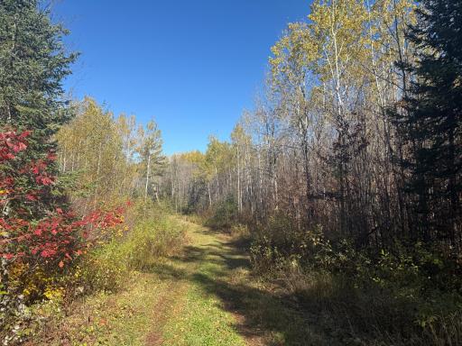 TBD French Rd., Chisholm, MN 55719