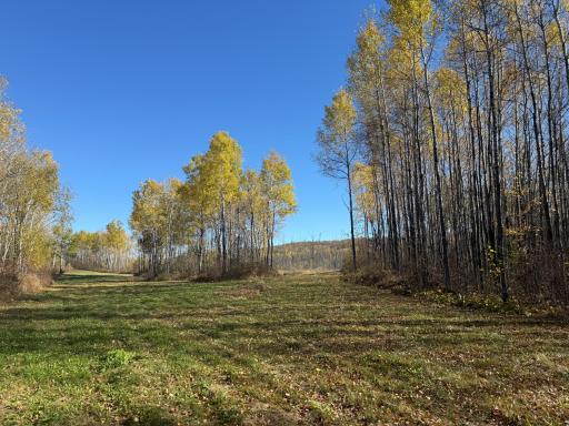 TBD French Rd., Chisholm, MN 55719