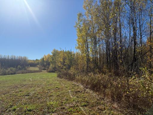 TBD French Rd., Chisholm, MN 55719