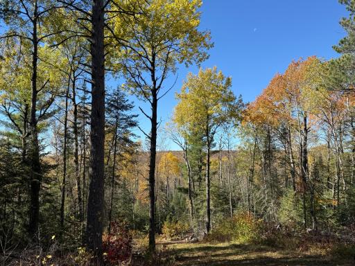 TBD French Rd., Chisholm, MN 55719