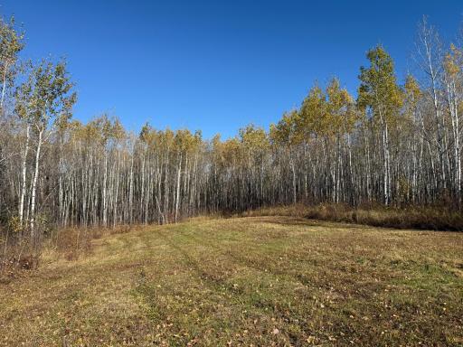 TBD French Rd., Chisholm, MN 55719