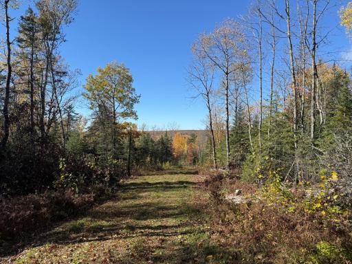 TBD French Rd., Chisholm, MN 55719