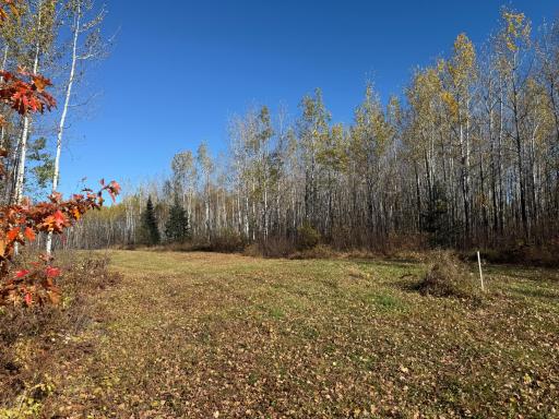TBD French Rd., Chisholm, MN 55719