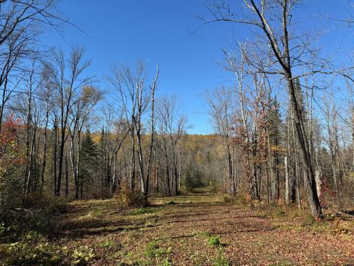 TBD French Rd., Chisholm, MN 55719