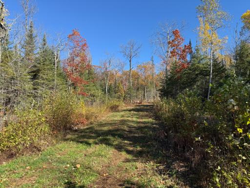 TBD French Rd., Chisholm, MN 55719