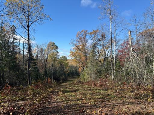 TBD French Rd., Chisholm, MN 55719