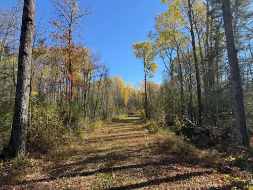 TBD French Rd., Chisholm, MN 55719