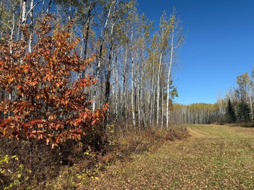 TBD French Rd., Chisholm, MN 55719