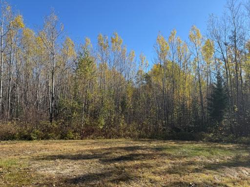 TBD French Rd., Chisholm, MN 55719