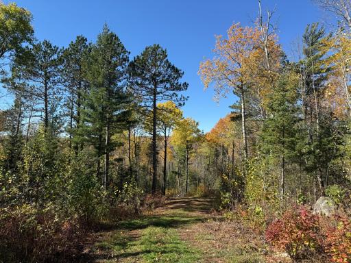 TBD French Rd., Chisholm, MN 55719