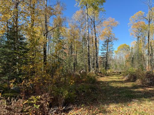 TBD French Rd., Chisholm, MN 55719