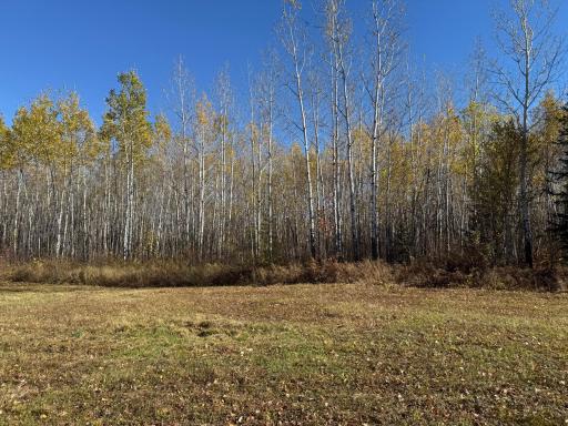 TBD French Rd., Chisholm, MN 55719