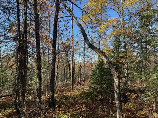 TBD French Rd., Chisholm, MN 55719
