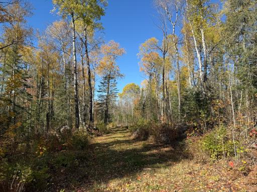 TBD French Rd., Chisholm, MN 55719