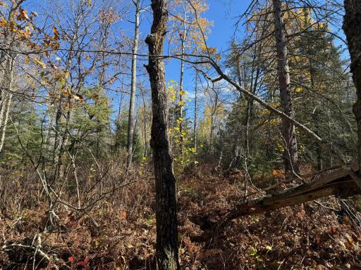 TBD French Rd., Chisholm, MN 55719