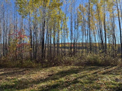 TBD French Rd., Chisholm, MN 55719
