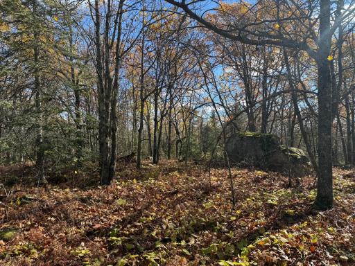 TBD French Rd., Chisholm, MN 55719