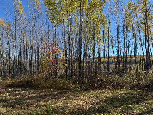 TBD French Rd., Chisholm, MN 55719