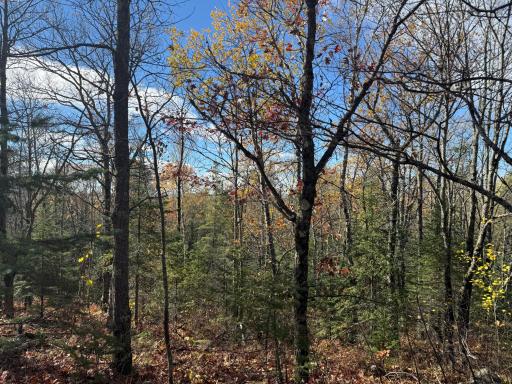 TBD French Rd., Chisholm, MN 55719