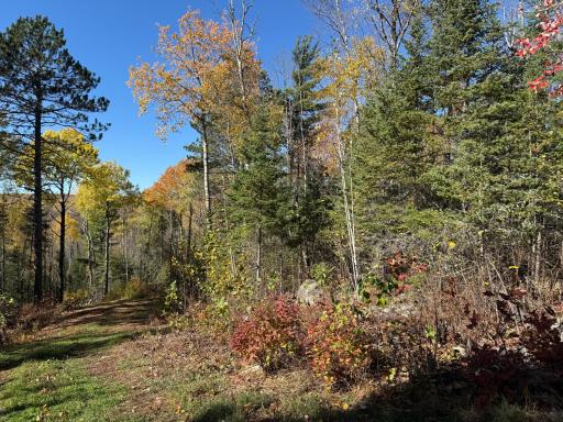 TBD French Rd., Chisholm, MN 55719