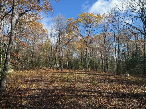TBD French Rd., Chisholm, MN 55719