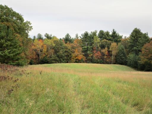 Parcel 6 340th Avenue, Frederic, WI 54837