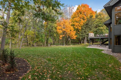 Spacious and flat, the backyard offers plenty of room to run and play