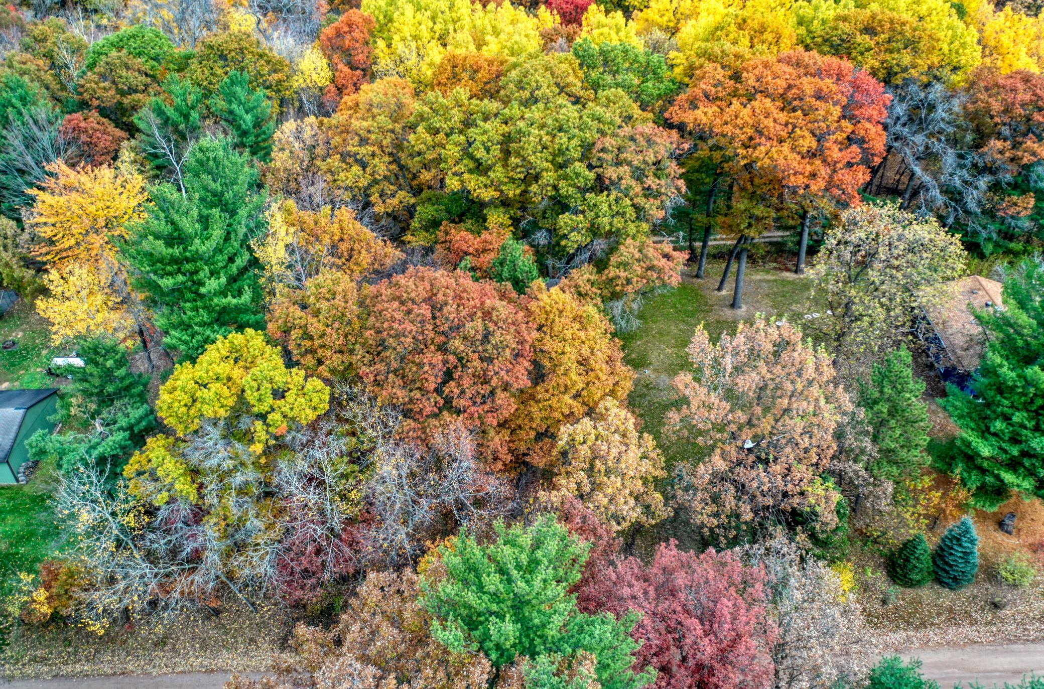 DJI_0471.jpg
