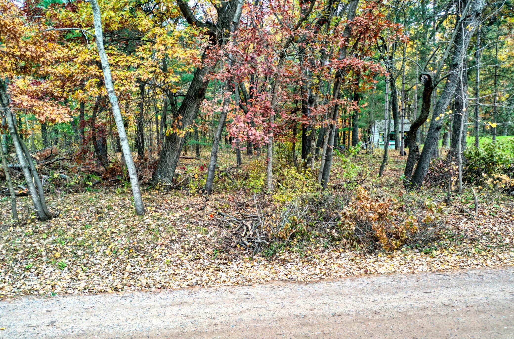 DJI_0466.jpg