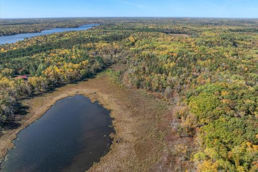 Tracts B & C TBD Ossawinnamakee Road, Pequot Lakes, MN 56472
