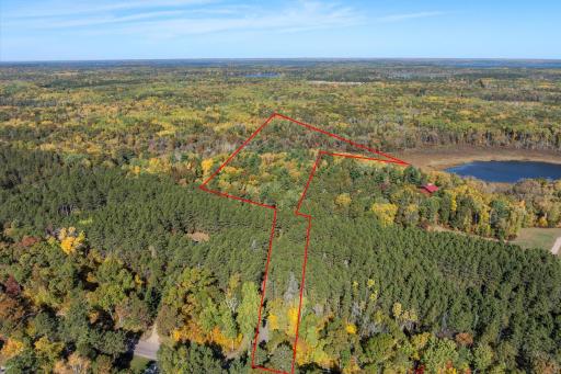 Tracts B & C TBD Ossawinnamakee Road, Pequot Lakes, MN 56472