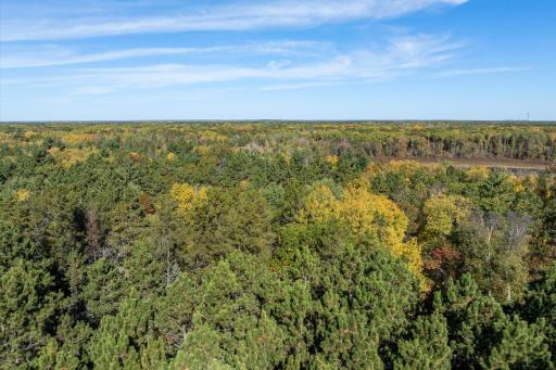Tracts B & C TBD Ossawinnamakee Road, Pequot Lakes, MN 56472