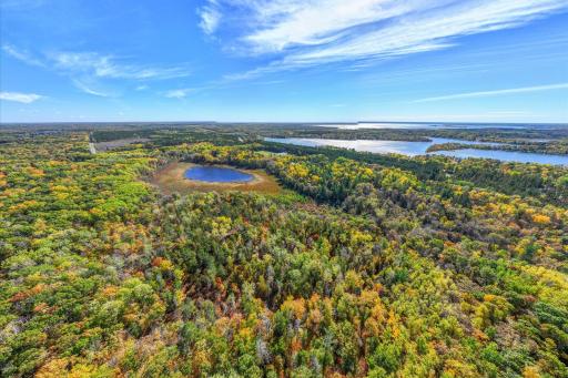 Tracts B & C TBD Ossawinnamakee Road, Pequot Lakes, MN 56472