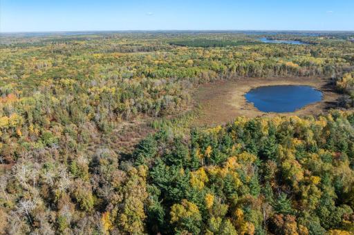 Tracts B & C TBD Ossawinnamakee Road, Pequot Lakes, MN 56472