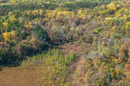 Tracts B & C TBD Ossawinnamakee Road, Pequot Lakes, MN 56472