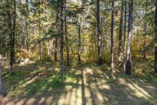 Tracts B & C TBD Ossawinnamakee Road, Pequot Lakes, MN 56472