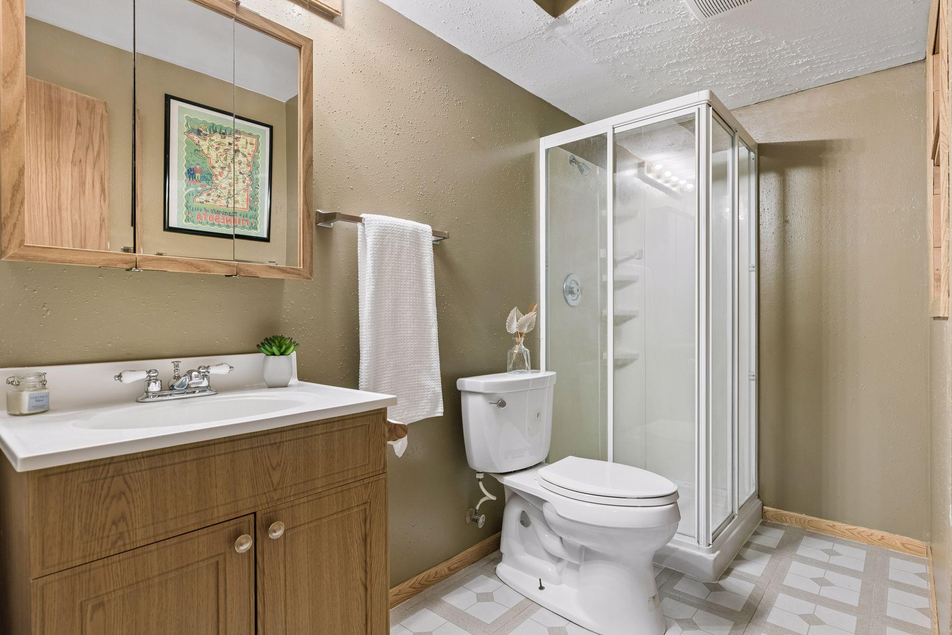 Basement bath with shower