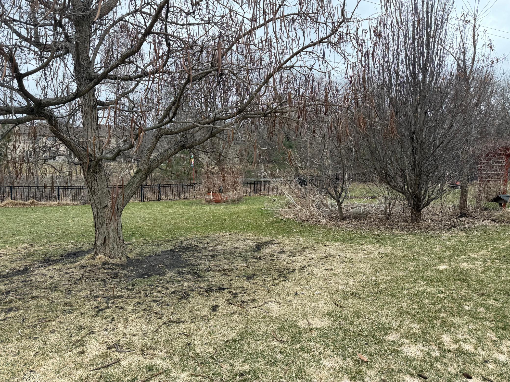 Fenced yard overlooks a great pond and creek scenery. The back yard will be beautiful soon with lots of plantings. Enjoy mature apple trees, raspberries, rhubarb, grapes, asparagus and there's a large garden too.
