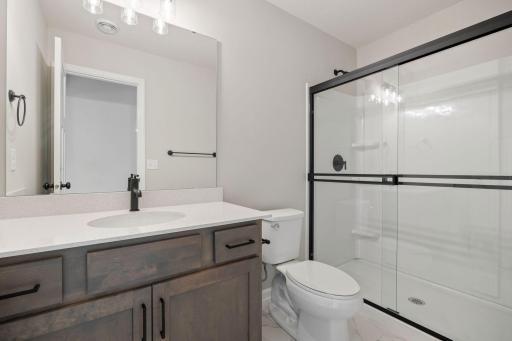 Lower level bathroom