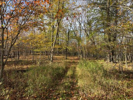 1911 W Bone Lake Drive, Balsam Lake, WI 54810