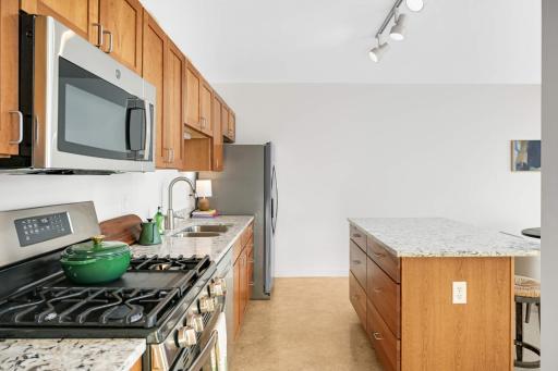 1829 3rd Avenue S, 215, Minneapolis, MN 55404