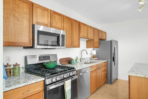 1829 3rd Avenue S, 215, Minneapolis, MN 55404
