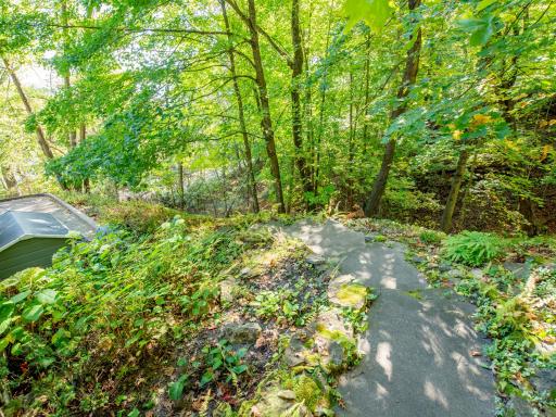 Private path down to the St. Croix River Beach.
