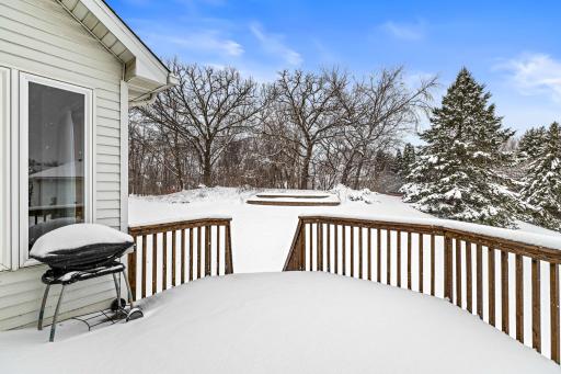 16568 Irwindale Way, Lakeville, MN 55044