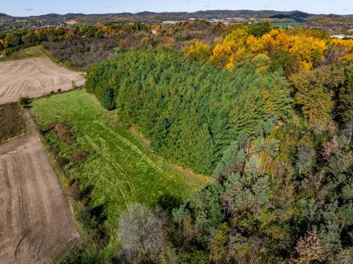 DJI_20251019105915_0013_D-HDR.jpg