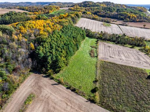 DJI_20251019105819_0007_D-HDR.jpg