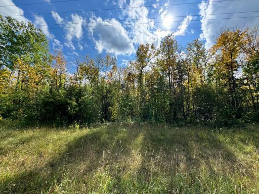 TBD 66th Street NW, Williams, MN 56686