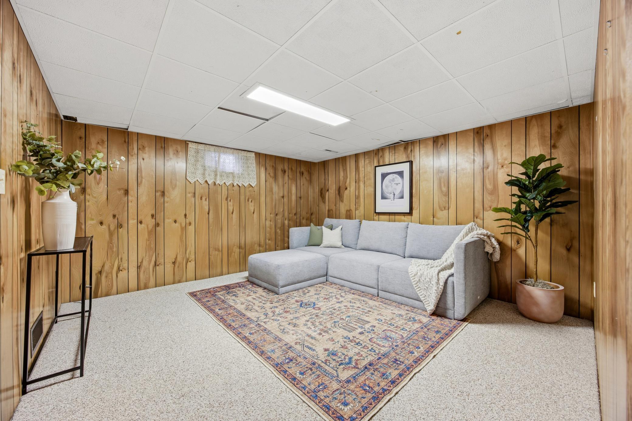Basement flex/family room