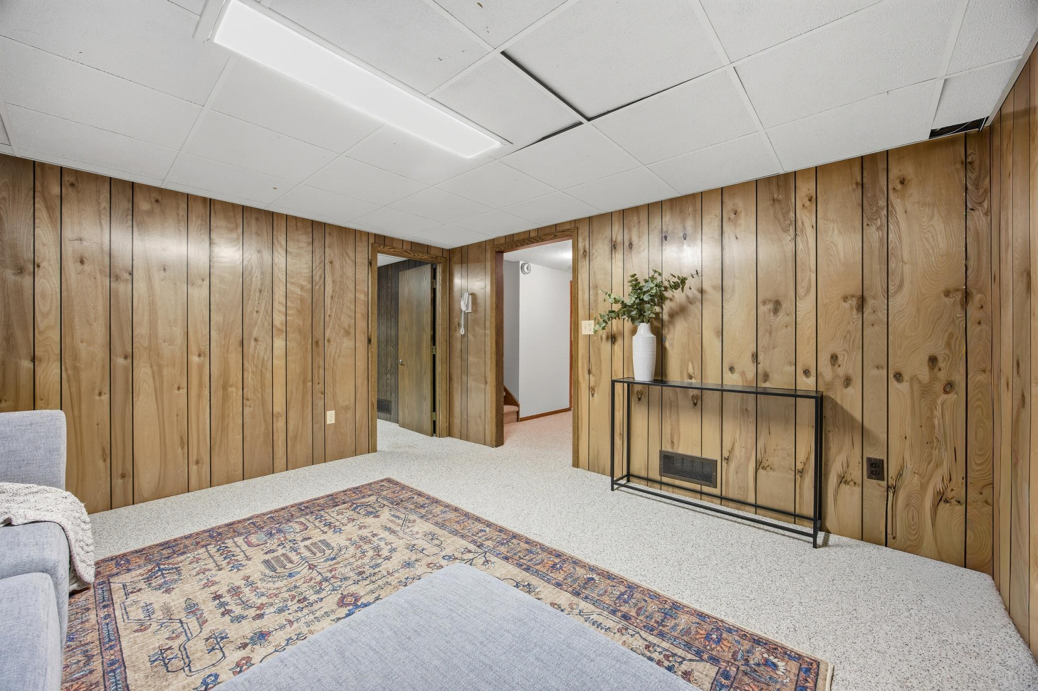 Basement flex/family room